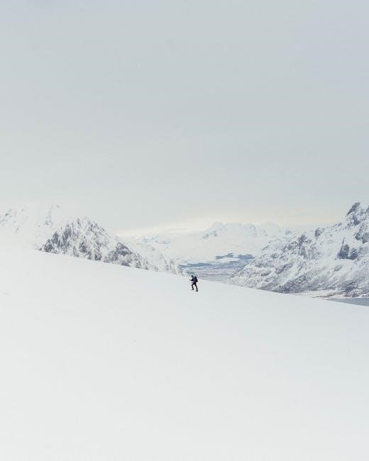 arctic air manual