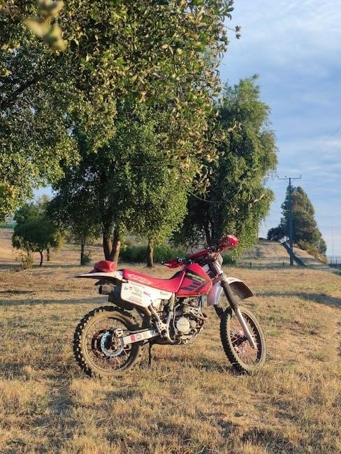 dirt bike tire size guide