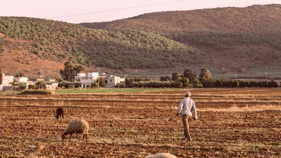 true west sam shepard pdf