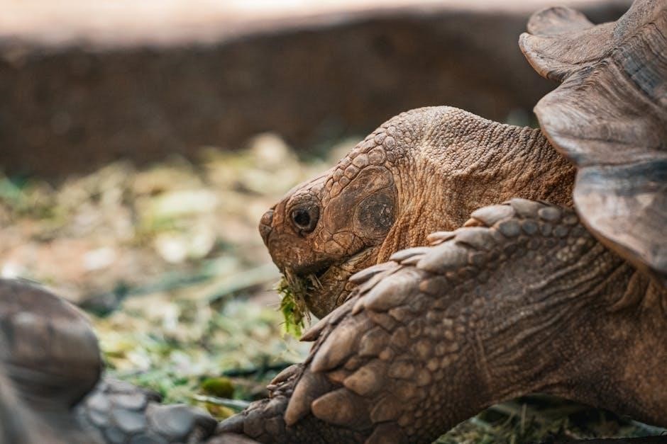 habits of grace pdf free download